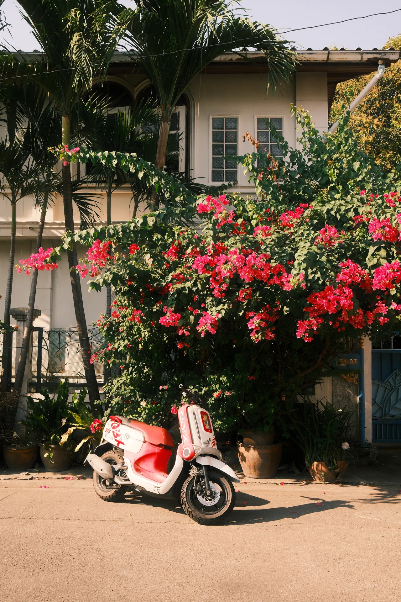 Backstreet in Bangkok