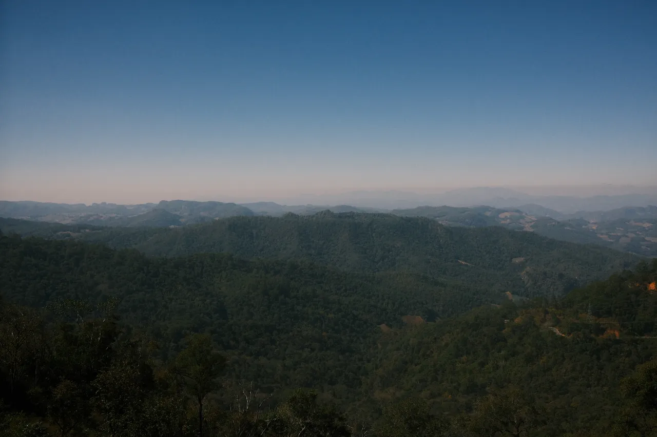 Pai viewpoint